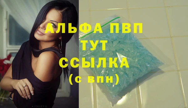 прущие крисы Абаза