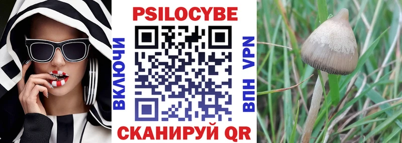 omg сайт  как найти закладки  Альметьевск  Псилоцибиновые грибы Cubensis 